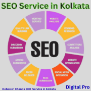 Debasish Chanda SEO Service in Kolkata